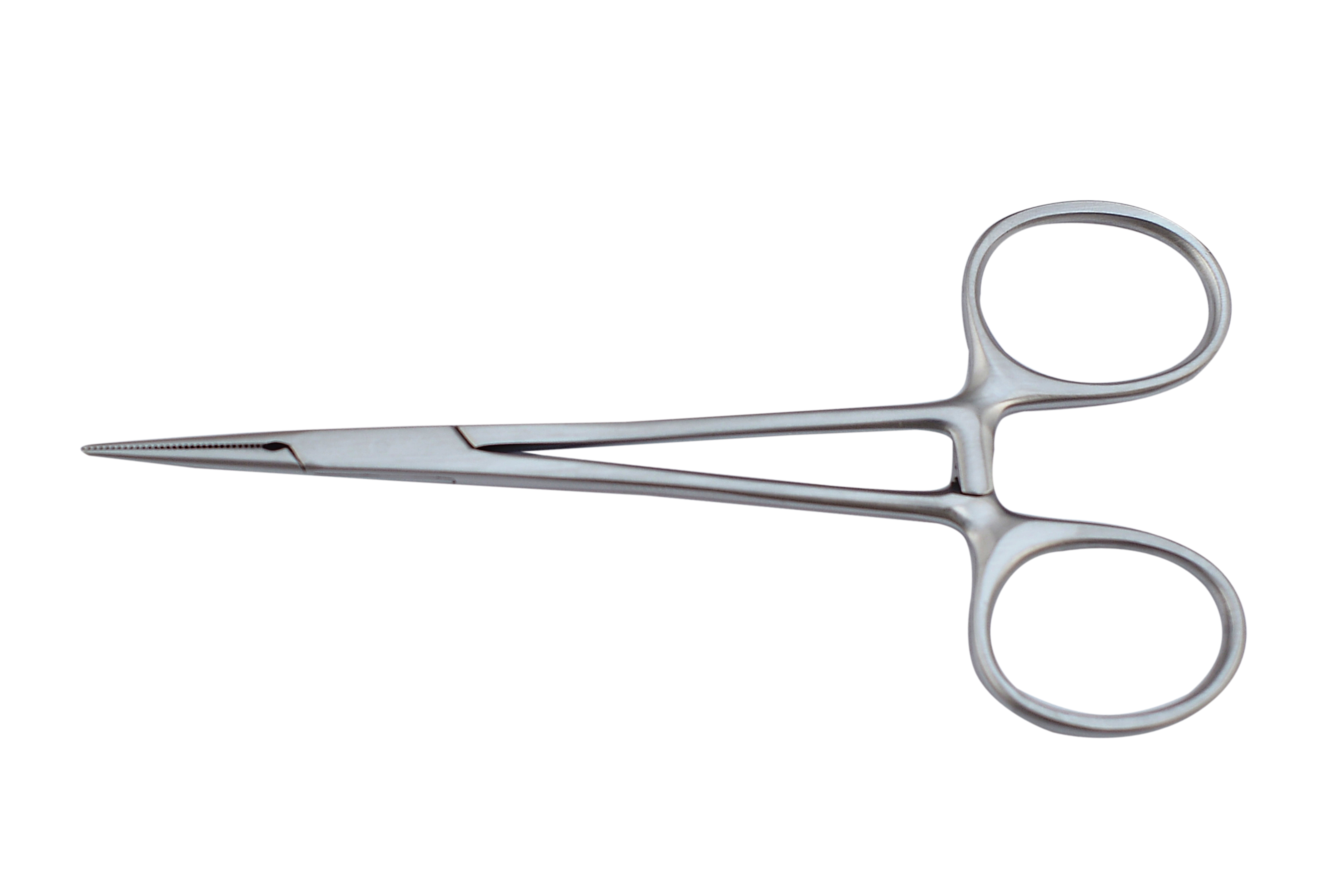 Mosquito gerade Mosquito gerade