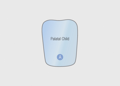 Riofoto Mirror Palatal / Child