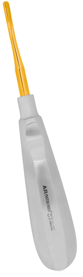 Wurzelheber Fig. 6B Bein 3.8 mm