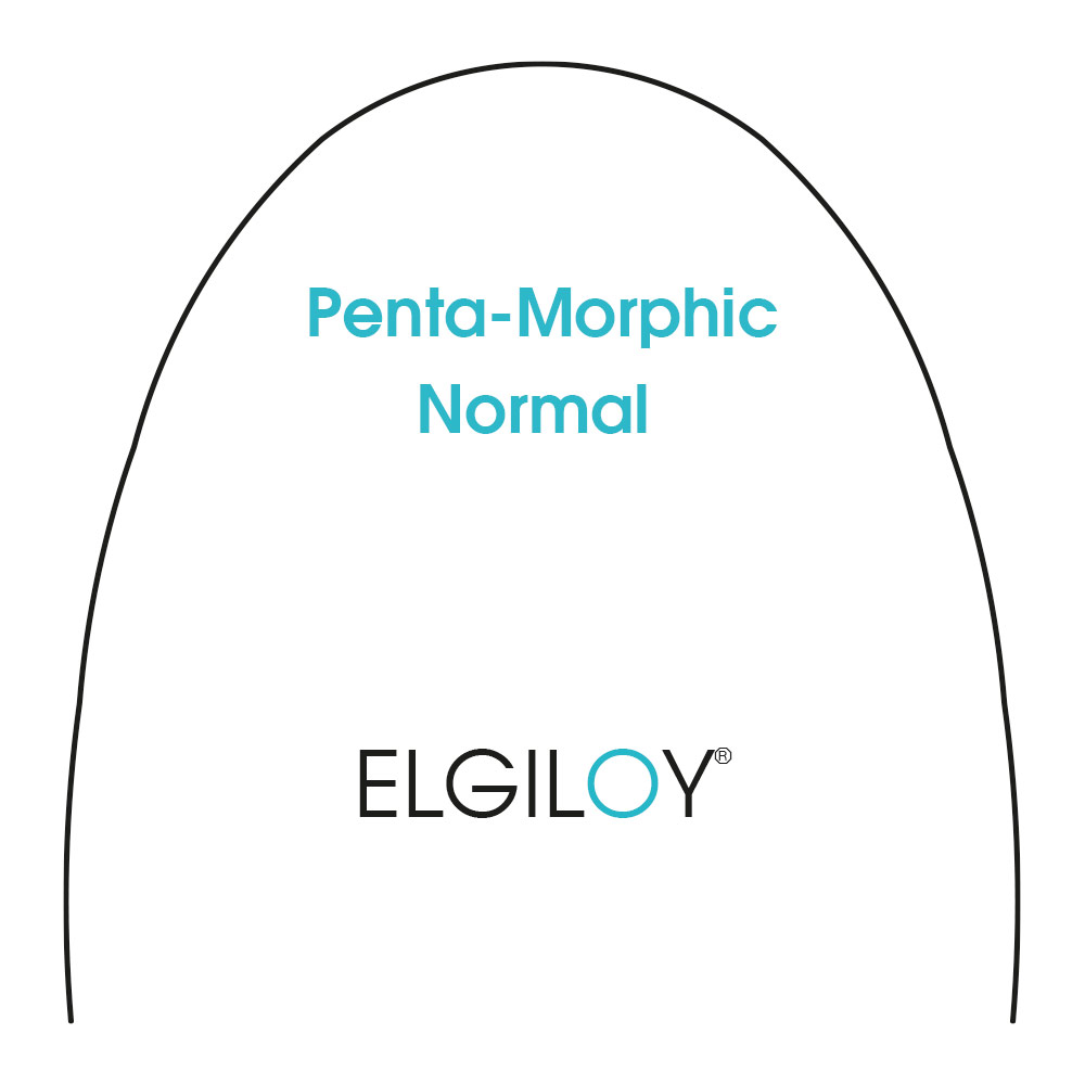 PMA Elgiloy .016 x .022 N