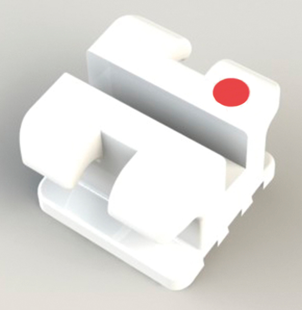Amora Ceramic Brackets Full Set 5-5 Hooks on 3,4,5 Amora Ceramic Brackets Full Set 5-5 Hooks on 3,4,5
